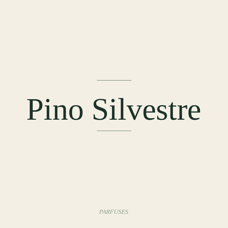 Pino Silvestre