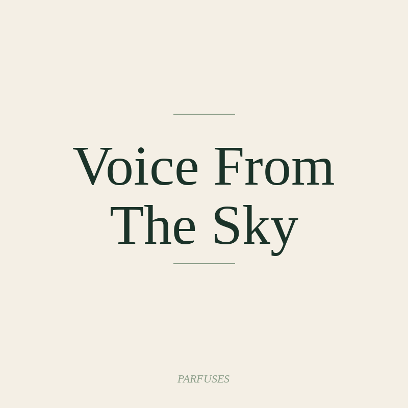 Voice From The Sky