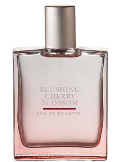 Blushing Cherry Blossom