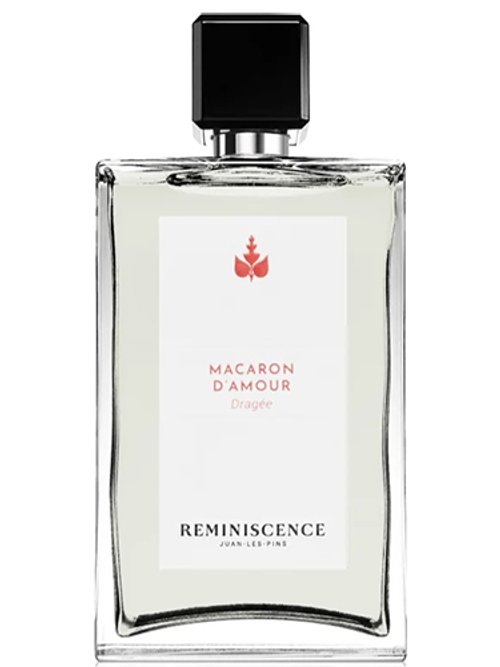 Macaron D'Amour