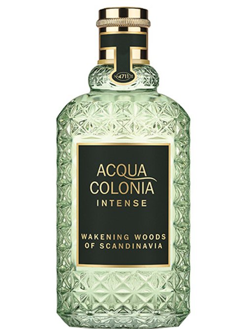 Wakening Woods Of Scandinavia Intense