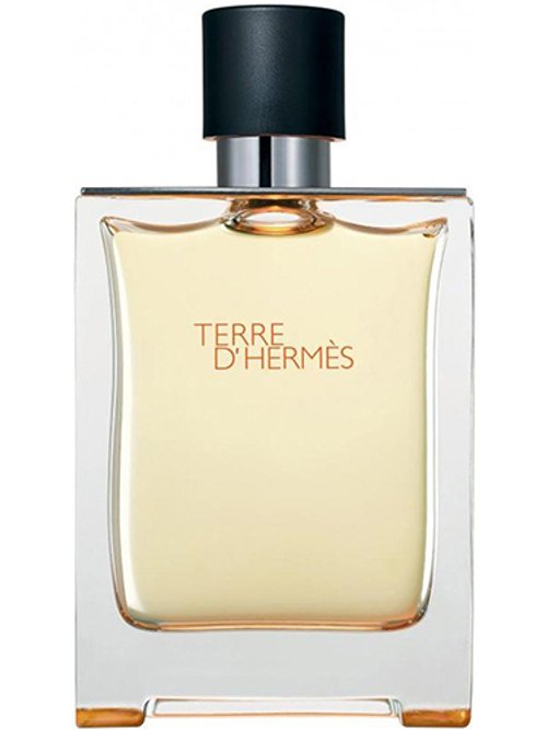 Terre D'Hermès Eau De Toilette