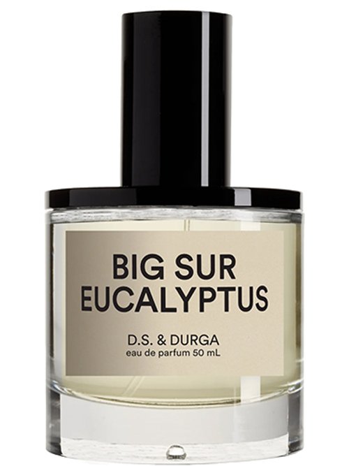 Big Sur Eucalyptus 2023