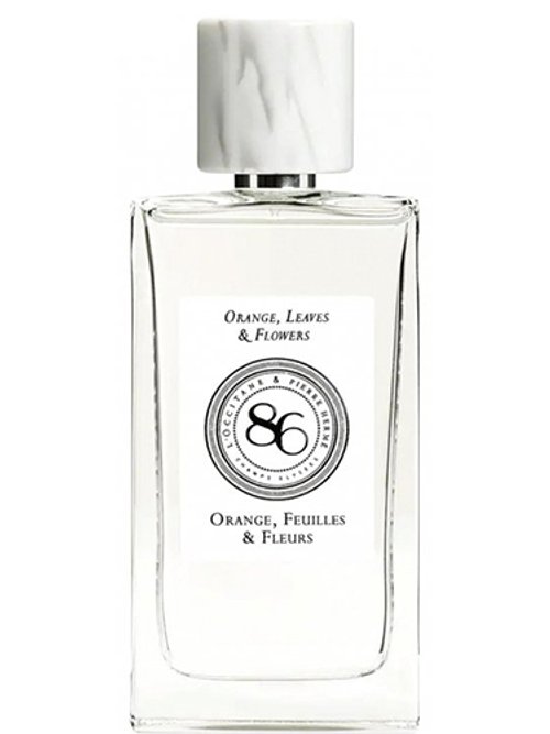 Orange, Feuilles & Fleurs