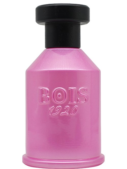 Rosa Di Filare (Kimono Rose)