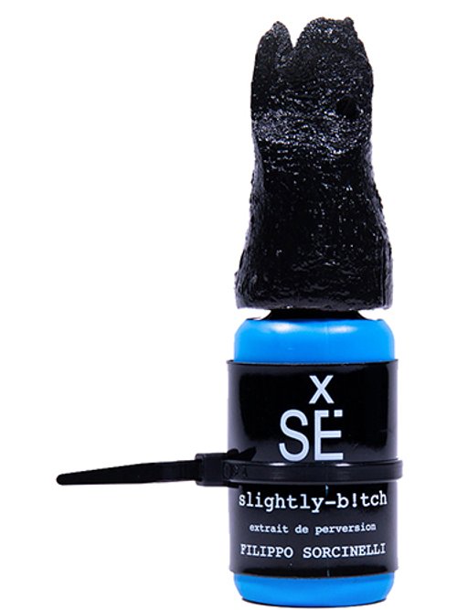 X Sé : Slightly-B!Tch