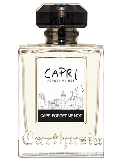 Capri Forget Me Not