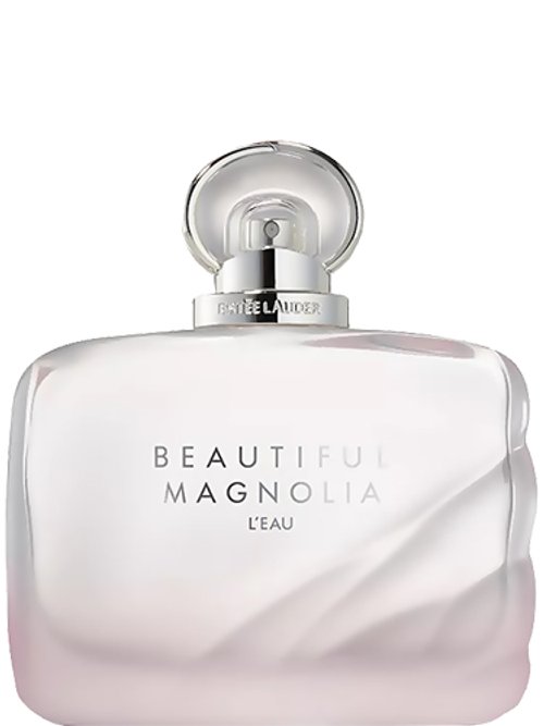 Beautiful Magnolia L'Eau