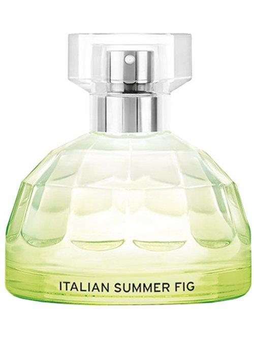 Voyage : Italian Summer Fig