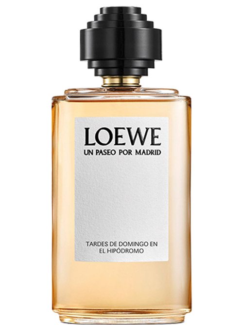 Tardes De Domingo En El Hipódromo