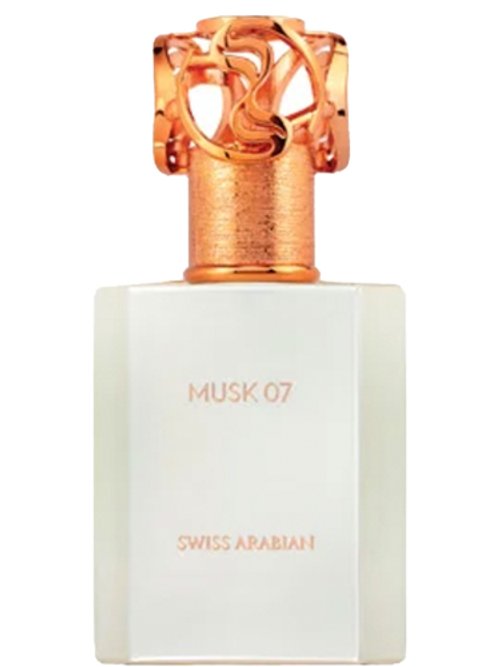Musk 07