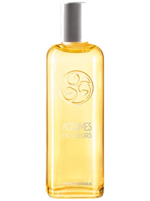 Un Matin Au Jardin : Agrumes En Fleurs