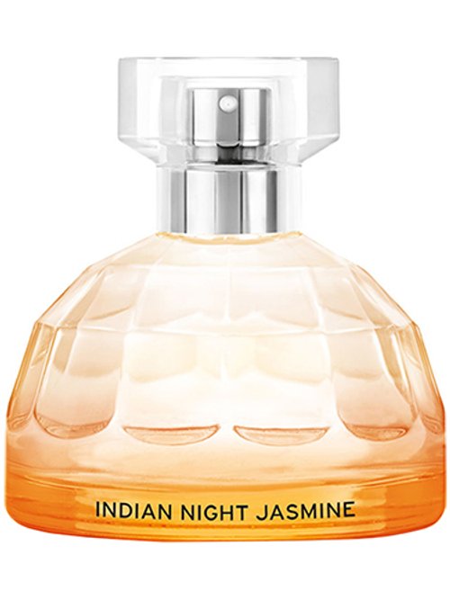 Voyage : Indian Night Jasmine