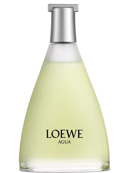 Agua De Loewe 44.2