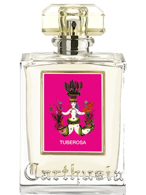 Tuberosa