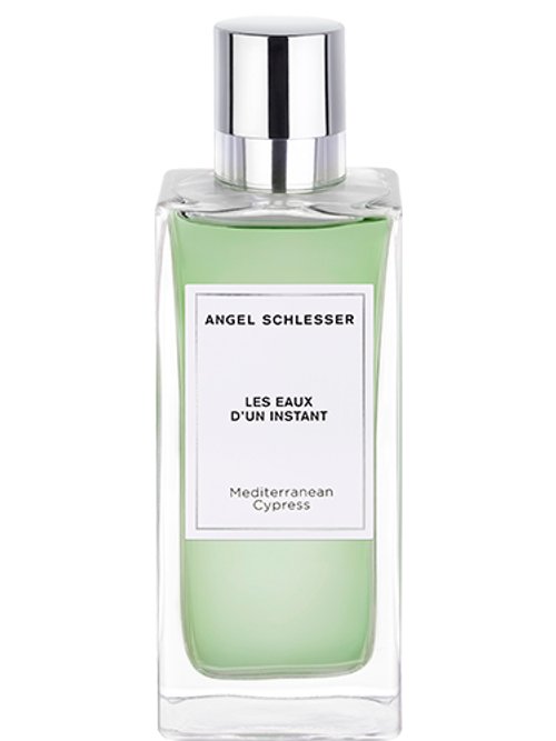 Mediterranean Cypress