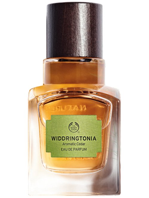 Elixirs Of Nature : Widdringtonia