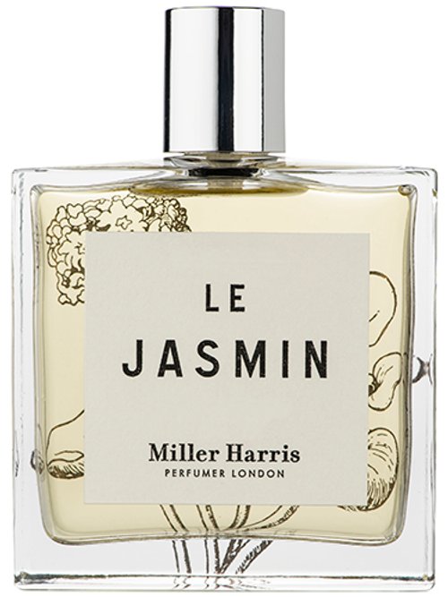 Le Jasmin