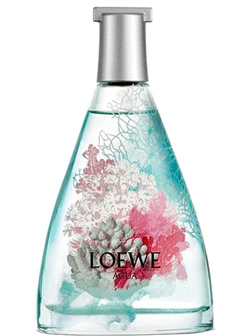 Agua De Loewe Mar De Coral Classic