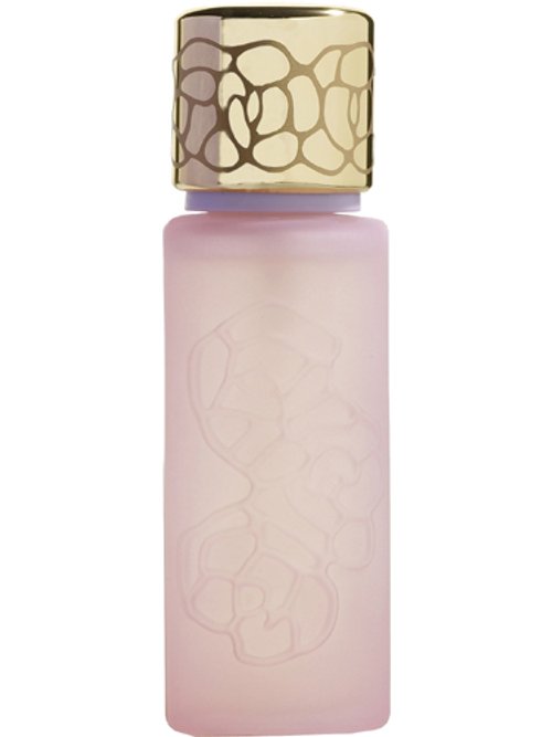 Quelques Fleurs Royale