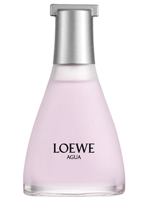 Agua De Loewe Ella Classic