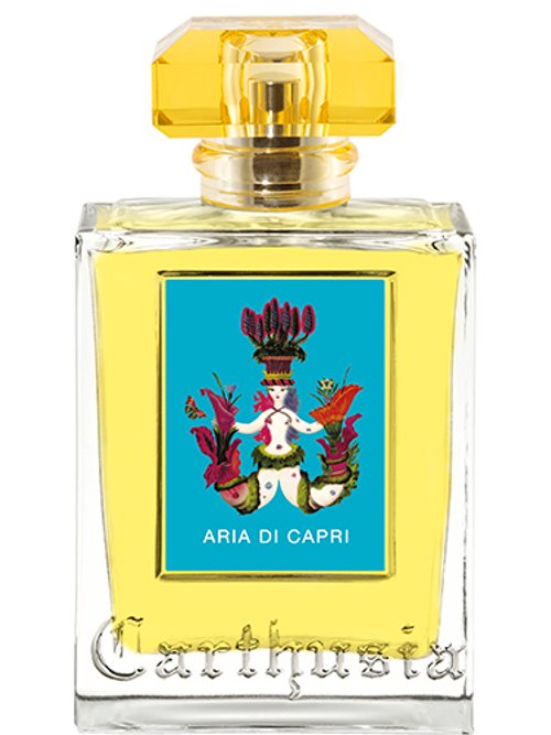 Aria Di Capri