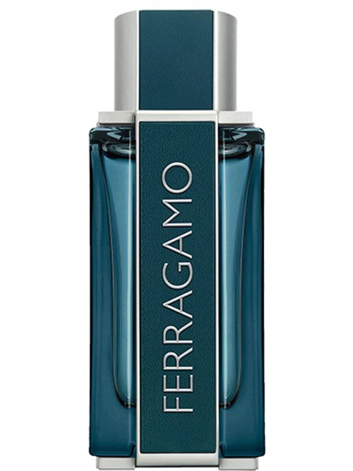 Ferragamo Intense Leather