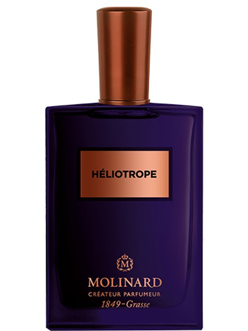 Héliotrope