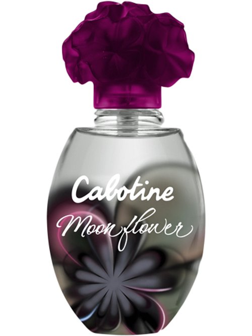 Cabotine Moonflower 2010