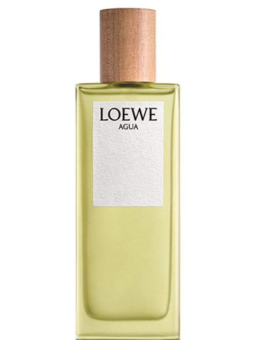 Agua De Loewe