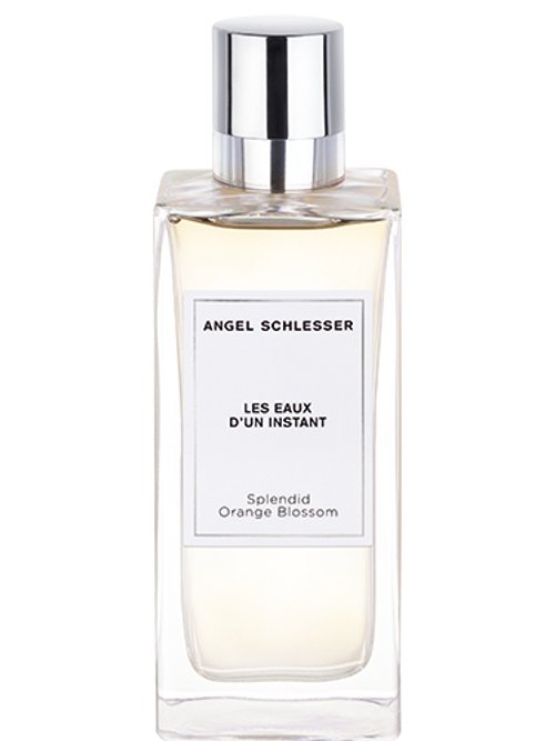 Splendid Orange Blossom