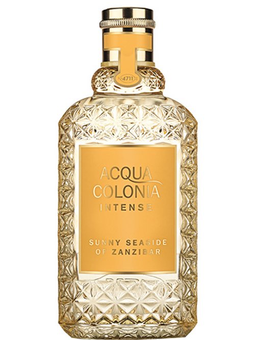 Sunny Seaside Of Zanzibar Intense