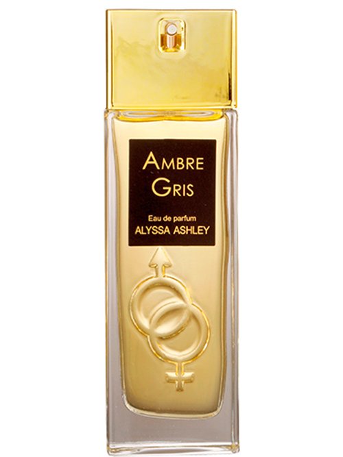 Alyssa Ashley Ambre Gris