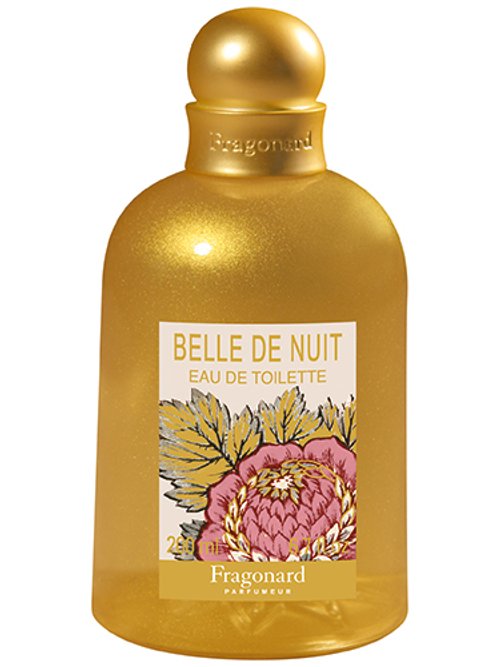 Belle De Nuit