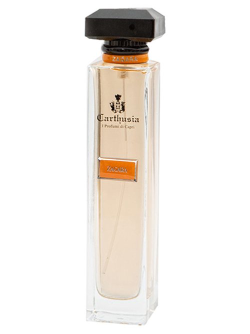 Zagara Carthusia