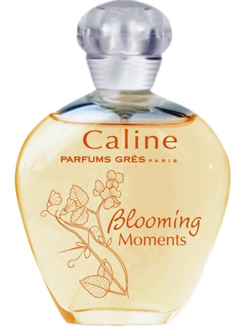 Caline Blooming Moments 2010