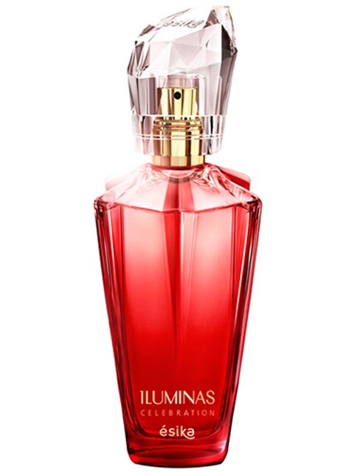 Iluminas Celebration