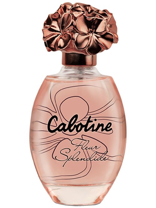 Cabotine Fleur Splendide
