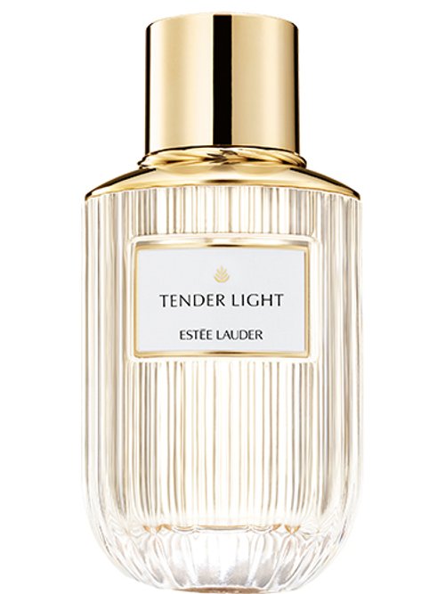 Tender Light