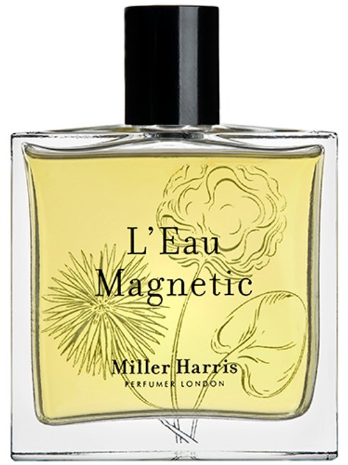 L'Eau Magnetic