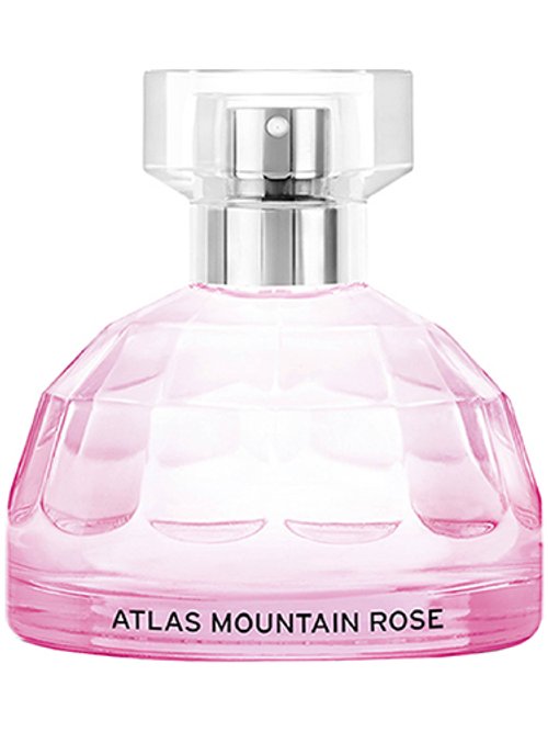 Voyage : Atlas Mountain Rose