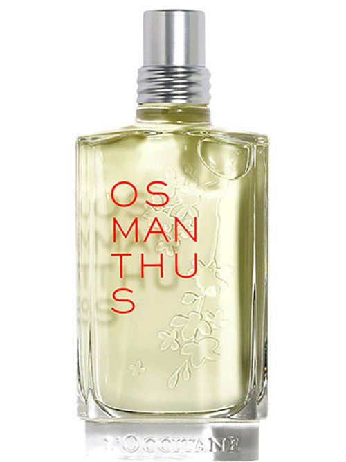Osmanthus