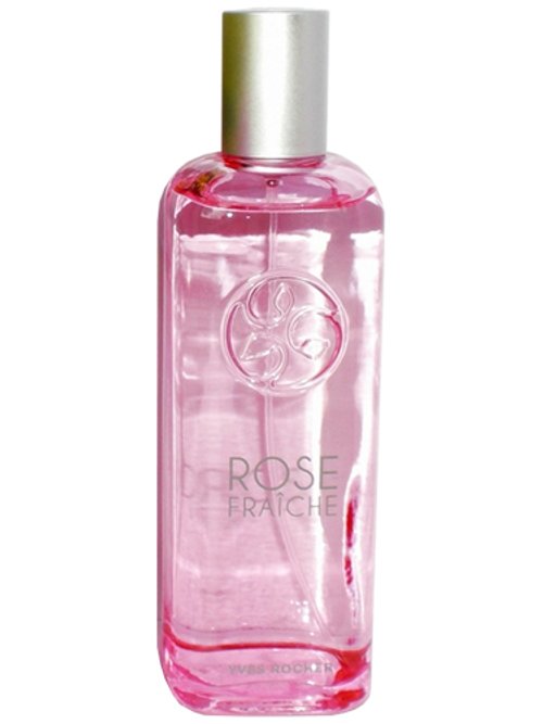 Un Matin Au Jardin : Rose Fraîche