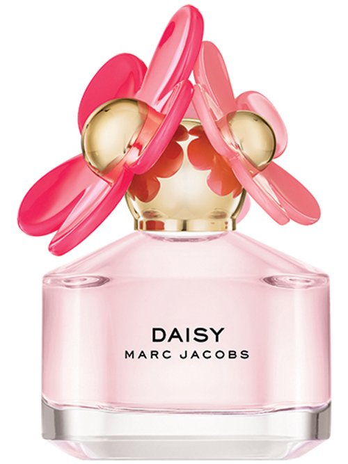 Daisy Blush 2016