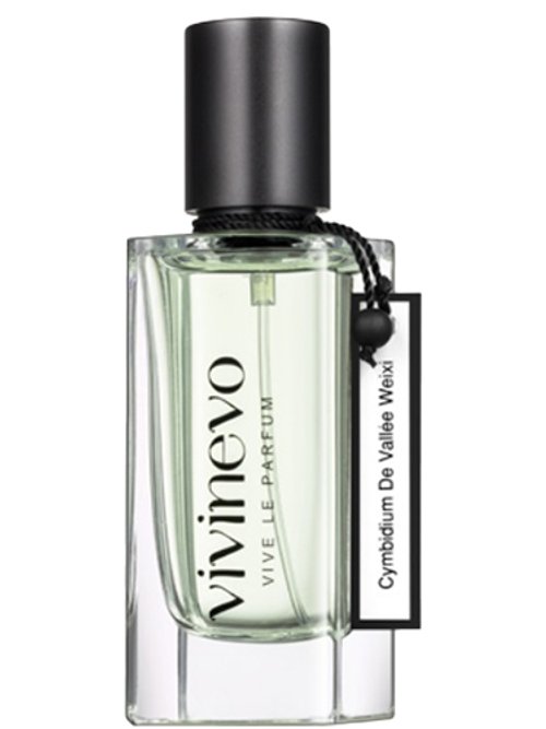 Cymbidium De Vallée Weixi