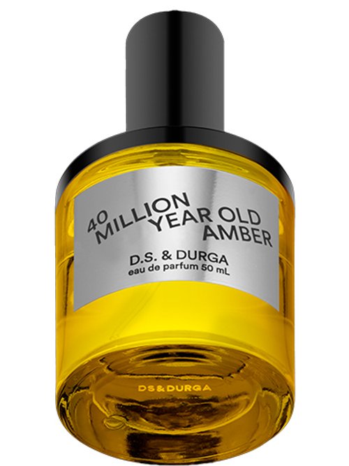 40 Million Year Old Amber 2023