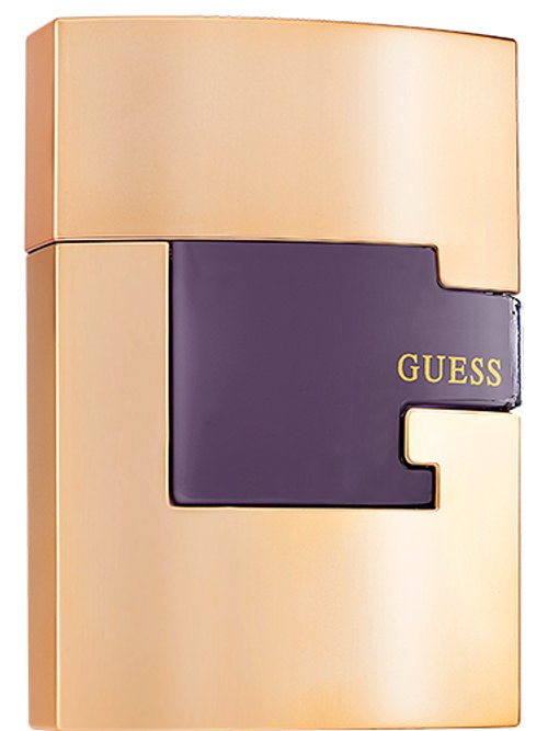 Guess Man Gold