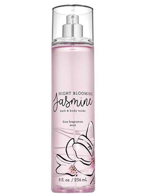 Night Blooming Jasmine