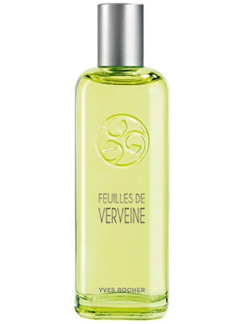 Un Matin Au Jardin : Feuilles De Verveine