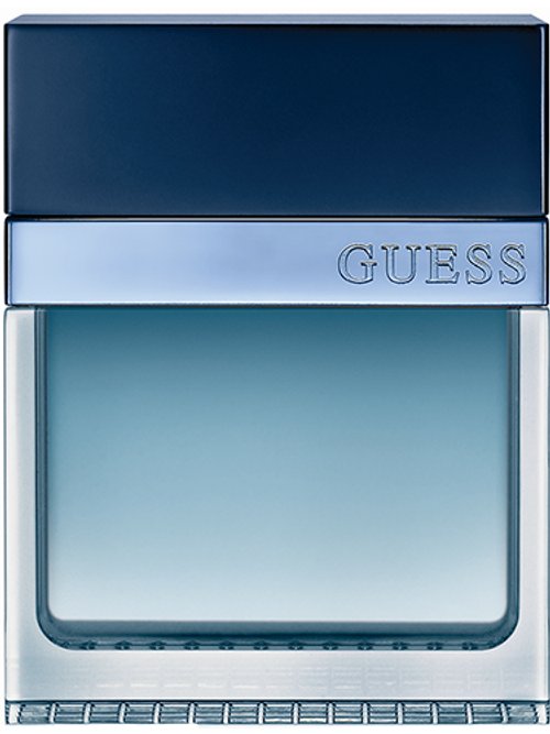 Guess Seductive Homme Blue